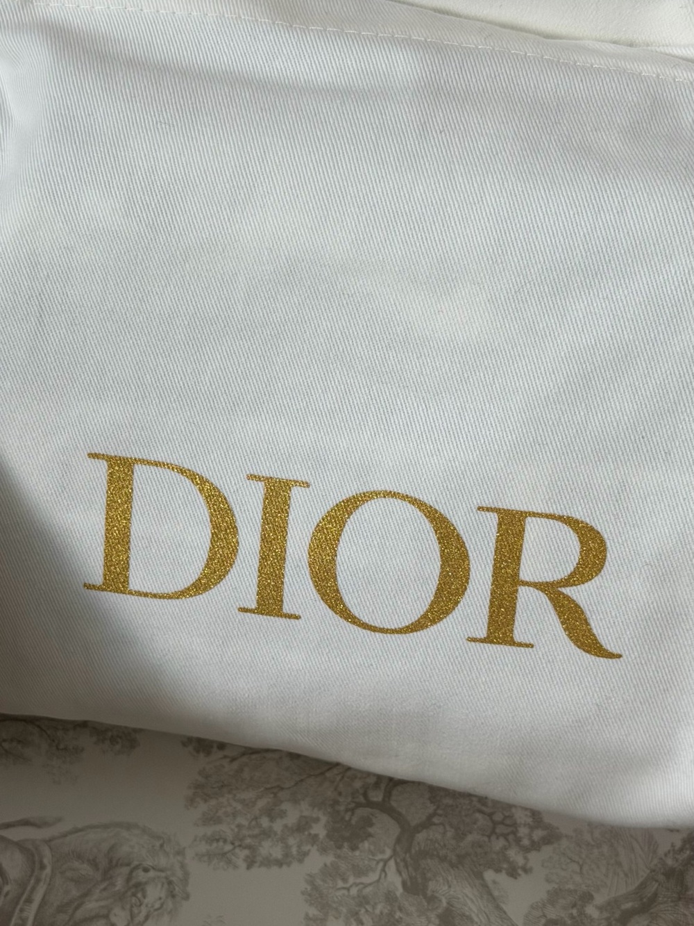 New Dior Plan de Paris Canvas Embroidered Cosmetic Bag - Picture 3 of 13